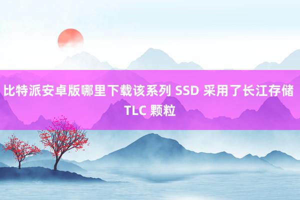 比特派安卓版哪里下载该系列 SSD 采用了长江存储 TLC 颗粒