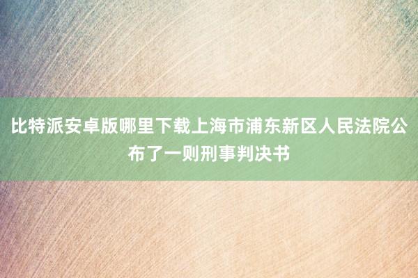 比特派安卓版哪里下载上海市浦东新区人民法院公布了一则刑事判决书