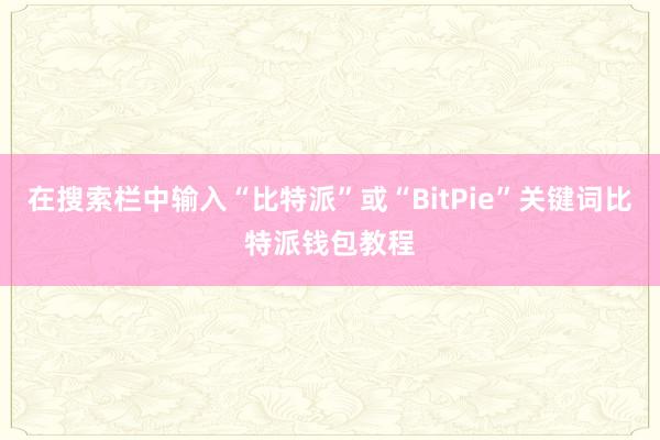 在搜索栏中输入“比特派”或“BitPie”关键词比特派钱包教程