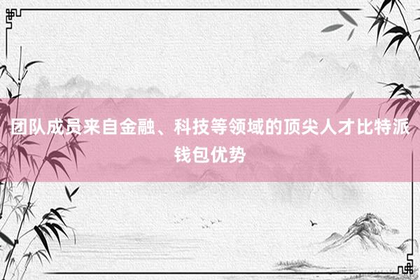 团队成员来自金融、科技等领域的顶尖人才比特派钱包优势