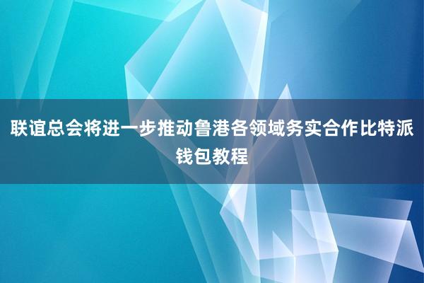 联谊总会将进一步推动鲁港各领域务实合作比特派钱包教程