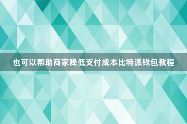 也可以帮助商家降低支付成本比特派钱包教程