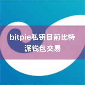 bitpie私钥目前比特派钱包交易