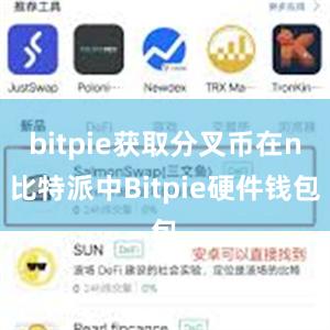 bitpie获取分叉币在n比特派中Bitpie硬件钱包